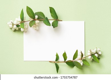Kertas putih kosong. Salam liburan. Susunan dekoratif mistletoe. Latar belakang hijau mint.