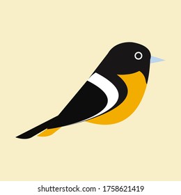 Baltimore Oriole Stock Vector Illustration and Royalty Free Baltimore Oriole  Clipart