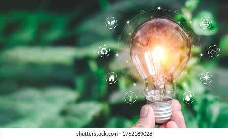 Hand holding light bulb ideas on a background of blurred green trees Ecological energy efficiency energy efficiency concept Together with the conservation of alternative energy and alternative energy.