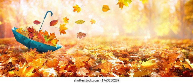 美しい秋の背景風景。オレンジ色の落ち葉のじゅうたんが公園と青い傘に。葉は日光の下で風になびく。黄金の秋のコンセプトです。
