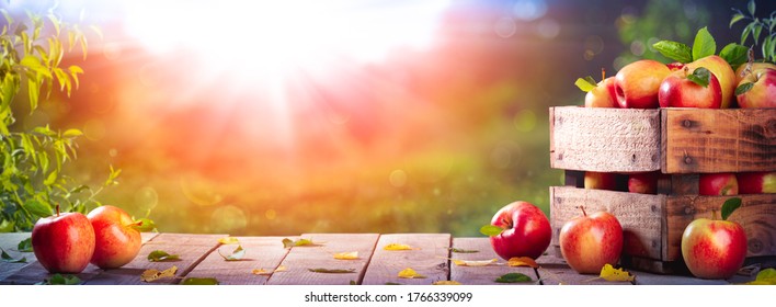 Appels In Houten Krat Op Tafel Bij Zonsondergang - Herfst En Oogst Concept