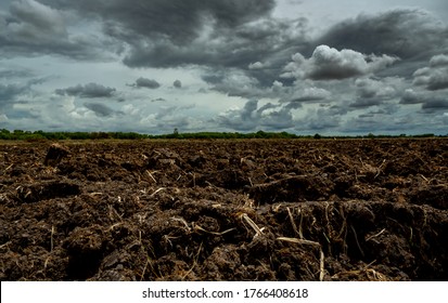Campo arado de agricultura. Campo arado de suelo negro con cielo tormentoso. Suelo de tierra en la granja. Suelo de labranza preparado para plantar cultivos. Suelo fértil en granja agrícola orgánica. Paisaje de tierras de cultivo.