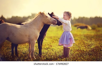 Een schattig wit meisje in jockeylaarzen streelt haar kleine pony in het veld op een zonnige zomerdag