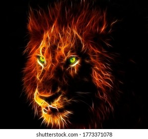 un león hermoso animal foto
