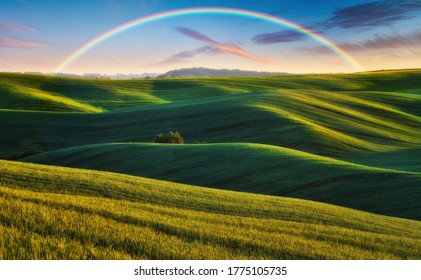 緑の野原にかかる虹の景色