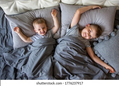 Twee kleine jongens met bruin haar liggen in een groot bed. Lach, kijk naar tekenfilms op de telefoon en tablet. Speel de gadget. Grijs beddengoed. Kinderen zijn blank.