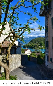 スイス、シュピーツの家々の間の路地。手前の木、家々の間の通路、トゥーン湖とアルプスの夏の景色。