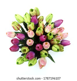 A large bouquet of tulips on a white background. Wedding decorations