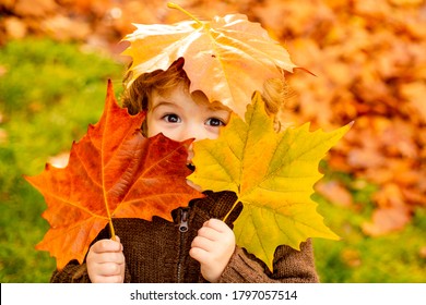 秋の黄葉の秋の赤ちゃんのポートレート、ウールの帽子をかぶった小さな子供、屋外の公園で美しい子供、10月の季節のニット服