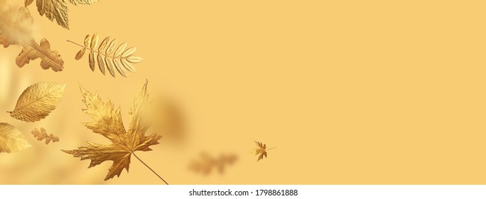 Gouden vliegende herfstbladeren van verschillende vormen op beige gele achtergrond. Herfst concept, val achtergrond. Minimaal bloemdessin, herfstbladframe. Gouden takje. Herfst creatieve compositie. Banner
