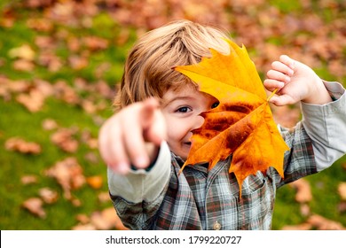 秋の気分。秋のオレンジ色の葉、屋外の小さな子供男の子