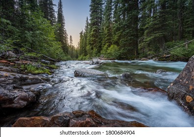 Wilder Fluss zum Fliegenfischen in den Bergen, der bei Sonnenuntergang im Osten Oregons durch einen dichten, grünen Kiefernwald fließt. Lostine-Fluss.