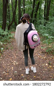 Girl walking with her cat and carrying white furry kitten in the cat backpack with transparent window. Domestic cats outside and travelling with pets concept