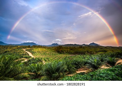 Serenity Rainbow, West-Kalimantan, Indonesien