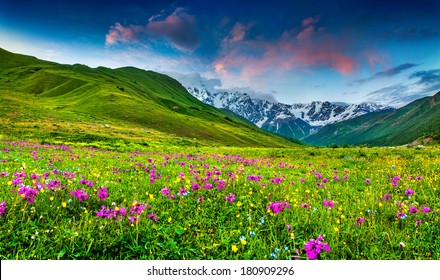 Hermosa vista de los prados alpinos en las montañas del Cáucaso. Alto Svaneti, Georgia.