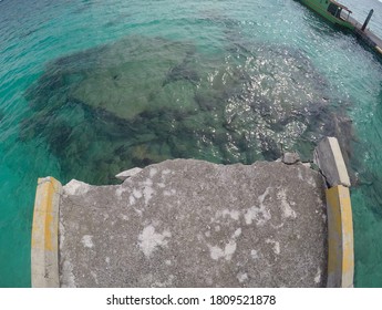 Kloer Mier Korallen Textur a gebrach Brécke