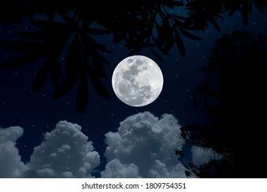 Luna llena sobre nubes en el cielo con árbol de silueta en la noche.