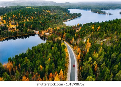 フィンランドの青い湖と黄色とオレンジ色の秋の森で赤い車で田舎道の空撮。