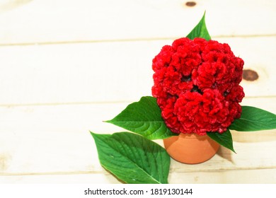 2021 年のクリスマスの到来を祝うために、木に赤い花を持つエレガントな創造的な背景.メリー クリスマス! あけましておめでとう。秋、春、夏も祝います。バレンタインの背景。
