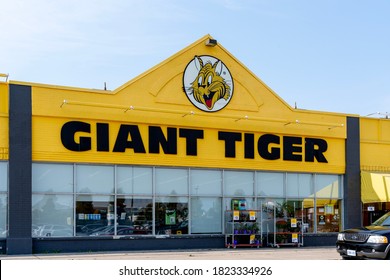 Logos and Guidelines – Giant Tiger