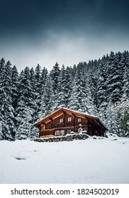 冬のおとぎ話の森の木造コテージ