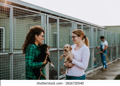Dos mujeres adultas jóvenes adoptando hermosos perros en un refugio de animales.