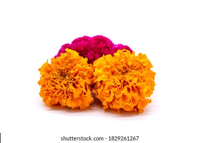 Celosia and Cempasuchil, mexican flowers in Day of the Dead México