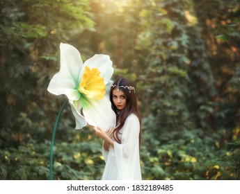 Porträt einer schönen Elfe mit langen Haaren steht in einem Fantasiewald und umarmt eine riesige Narzissenblume, grüne Bäume. Eine Frau in einem weißen Vintage-Kleid und einem silbernen Diadem. Unschuldiges attraktives Gesicht.
