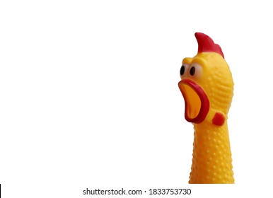 Juguete chirriante de pollo chillón. Pollo chillón amarillo sobre fondo blanco, trazado de recorte incluido.