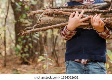 森で薪を集める子供。小さな木こり。少年は古い木の枝を探しています。子供と薪。秋の時間。