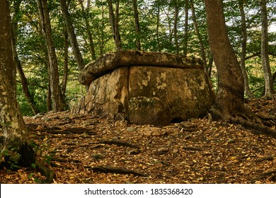 oude megalietdolmen tussen bomen in een herfstbos in het avondlicht