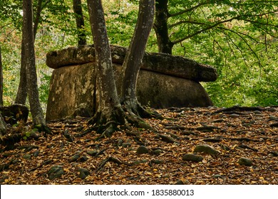 oude megalietdolmen tussen bomen in een herfstbos in het avondlicht