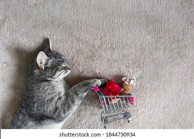 a cat sleeps on a beige light blanket and rolls a supermarket trolley with a red gift and a bow, and a bouquet of roses