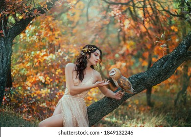herfst sprookje. Fantasievrouw zittend op een boomtak met een kerkuil. Forest nimf meisje houdt een witte vogel in handen. Portret van romantische dame in gouden jurk. Kunstnatuur, oranjegele bomen