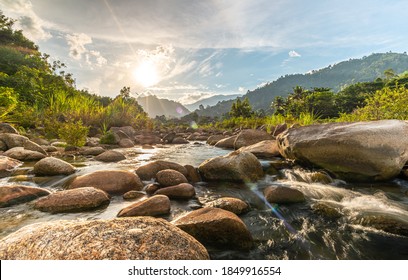 River stone and tree with sun beam, View water river tree, Stone river and sun ray in forest