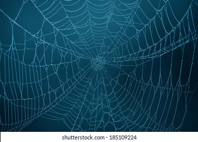 Spinnenweb in de duisternis