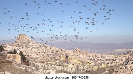Taubenvogelgruppe, die im Winter in Kappadokien, Türkei, über Uchisar Rock Castle in Nevşehir fliegt.