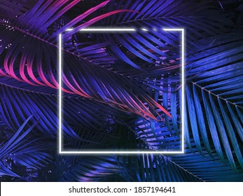 Fondo de diseño plano con diseño de fiesta de neón fluorescente con hojas de palmeras tropicales