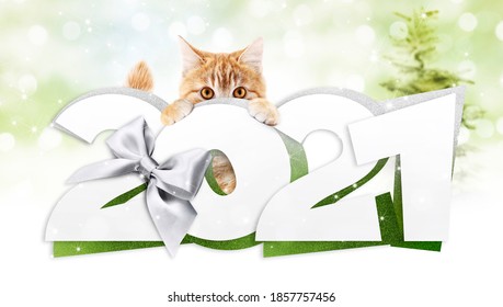 2021 gelukkig nieuwjaar nummertekst met grappige gemberkat geïsoleerd op wazige lichtenachtergrond voor gelukkig nieuwjaar wenskaart