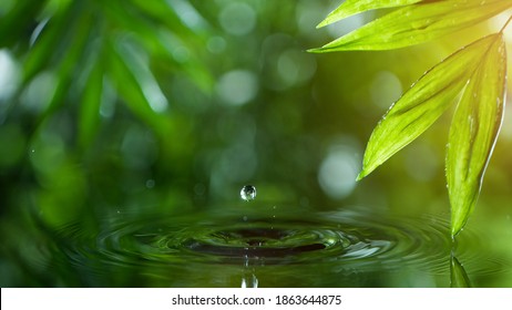 hojas verdes frescas con gotas de agua sobre el agua, relajación con el concepto de gotas de ondas de agua