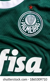 Palmeiras Futebol Clube Logo PNG Vectors Free Download