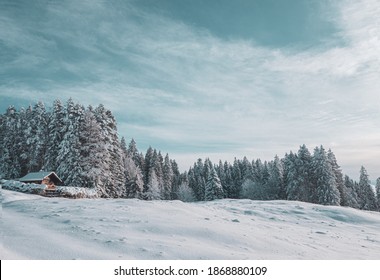 見事なアルプスの今のシーン。新雪が降った後、雪に覆われたアルプスのシャレーは、この美しい冬の雪に覆われた森の中にあります。