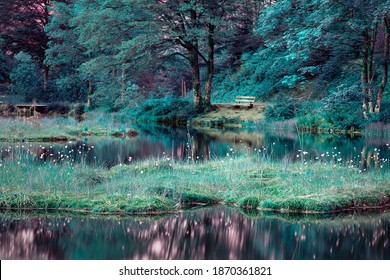 Magic lake emerald green coloured landscape with floating peat island, bench on the shore. Atmospheric romantic landscape, beautiful nature with trees. Tranquility in forest in turquoise colors.