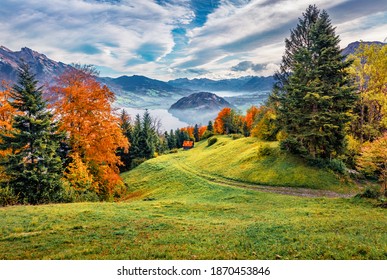 美しい秋の風景。スタンシュタットの町、スイス、ヨーロッパの郊外の魅力的な朝の景色。ルツェルン湖、スイス アルプスのエキサイティングな秋のシーン。風景写真。