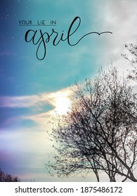 you lie in april wallpaper's inspired by the name of the anime