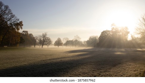 Kabut dan kabut di pagi hari di taman London