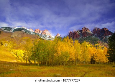栗色の鐘 - 秋のホワイト リバー国有森林の雪塊の荒野