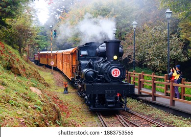 A tourist train of retro carriages traveling thru the lush forest and people, on the paved hiking path, taking photos of the antique steam locomotive, in Alishan National Scenic Area, Chiayi, Taiwan