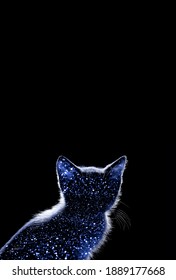 Silhouette d'un chat dans l'obscurité. Animaux, espace, mammifères, concept de la Journée mondiale des animaux.