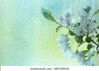 Frühlingsblumen Regentropfen, abstrakter unscharfer Hintergrund Blumen frischer Regen